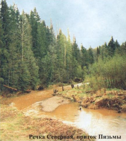 Речка Северная
