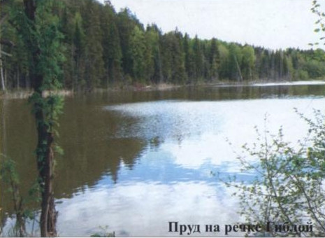 Пруд на речке Гиблой