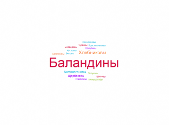 облако-фамилий-бичурна